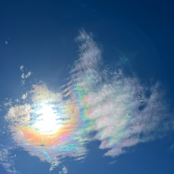 Meet your Posher, Andrea - Picture 1 of 1